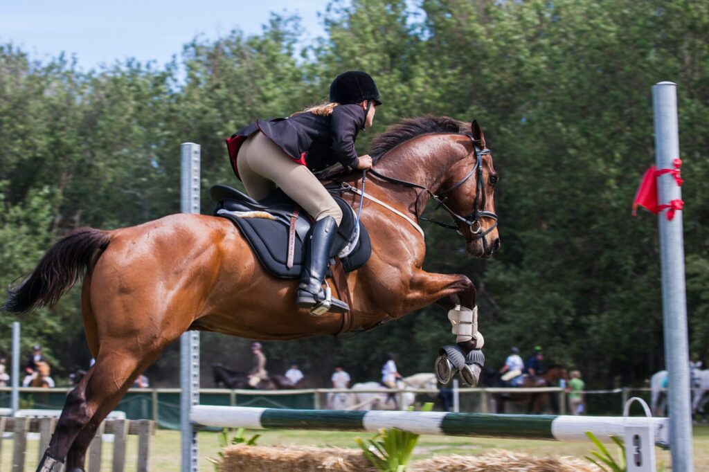 Een paard en amazone springend over een balk.